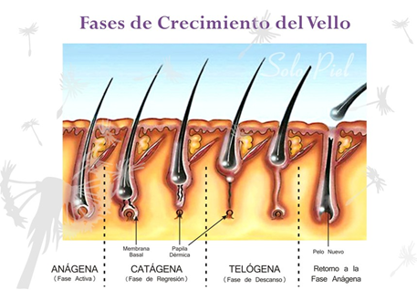 Tratamientos